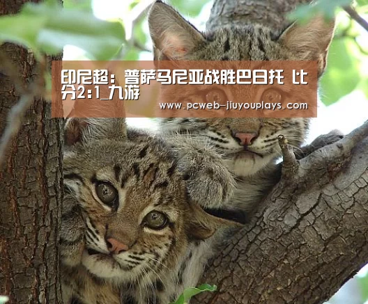 印尼超: 普萨马尼亚战胜巴日托 比分2:1_九游(图3) 九游官方网站