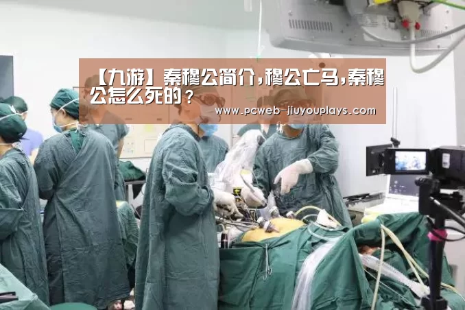 【九游】秦穆公简介,穆公亡马,秦穆公怎么死的?(图1) 九游