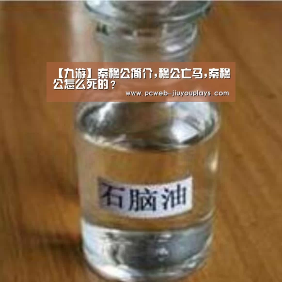 【九游】秦穆公简介,穆公亡马,秦穆公怎么死的?(图2) 九游